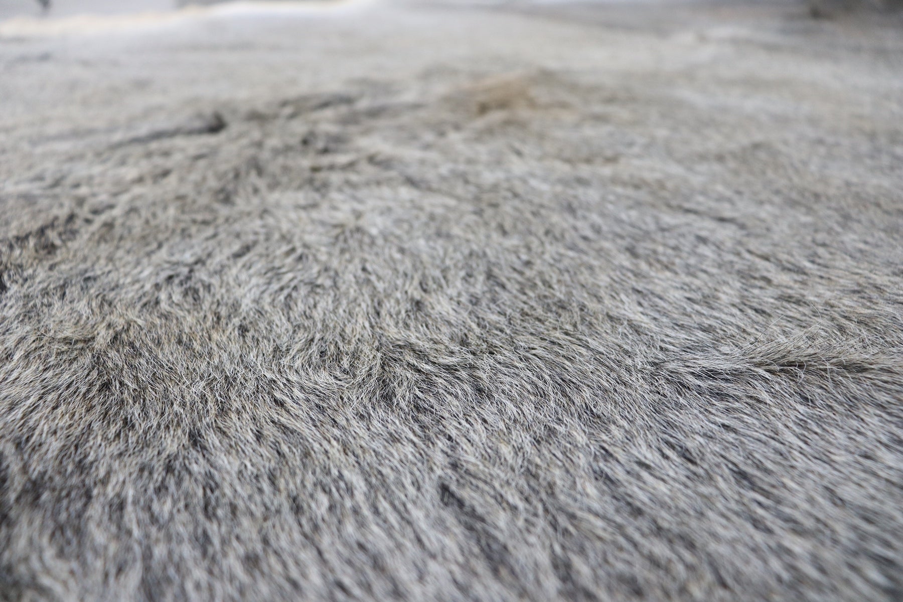 Grey (8.7 X 7.9 ft.) Exact As Photo BRAZILIAN Cowhide Rug | 100% Natural Cowhide Area Rug | Real Leather Cow Skin Rug | BZ476