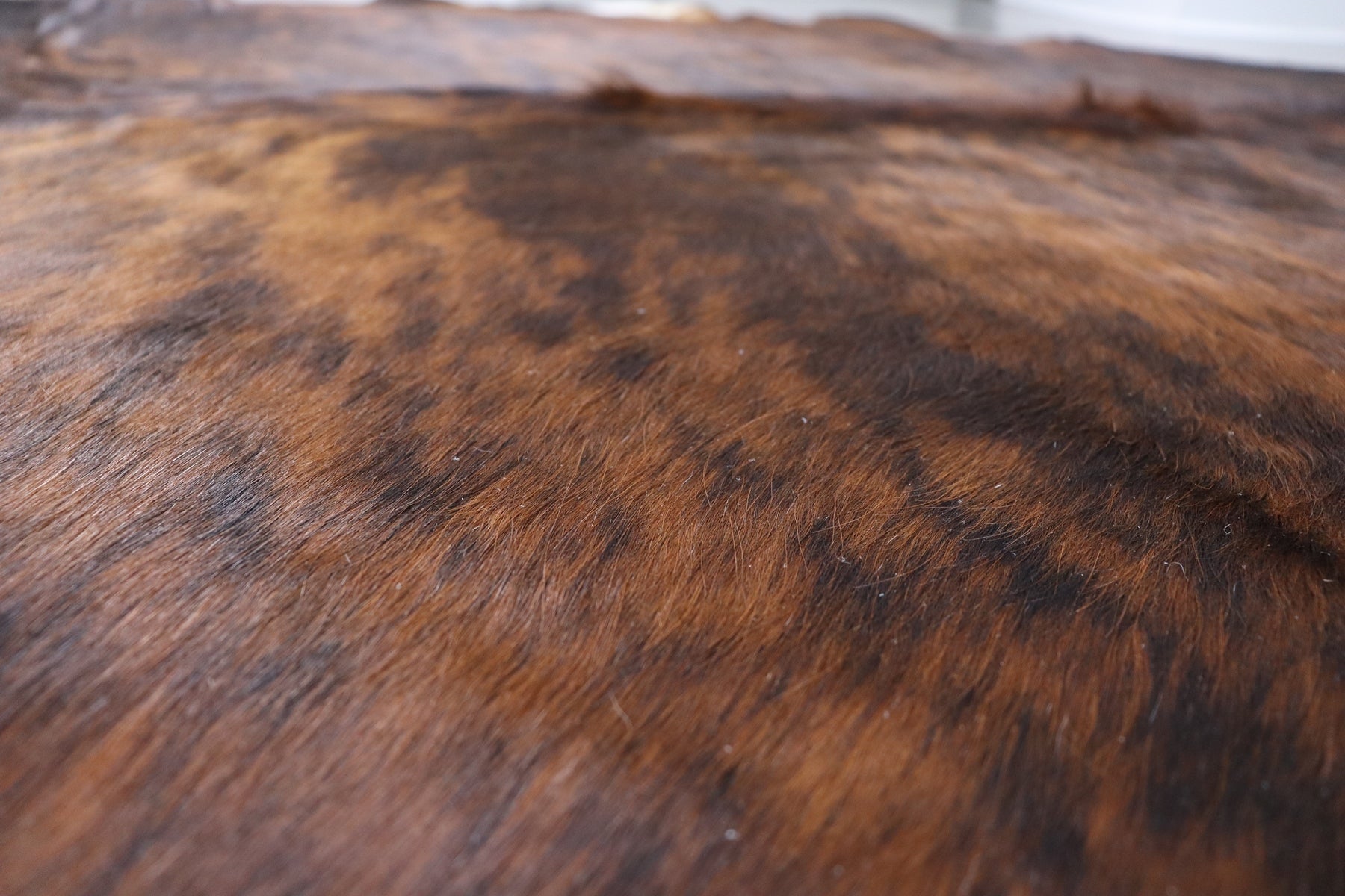 Tricolor Brindle (8.6 X 8 ft.) Exact As Photo BRAZILIAN Cowhide Rug | 100% Natural Cowhide Area Rug | Real Leather Cow Skin Rug | BZ481