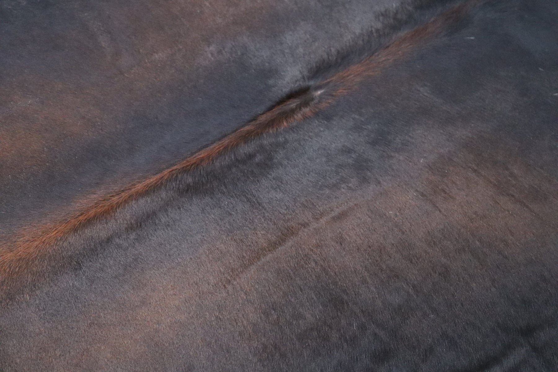 Tricolor (7.11 X 6.11 ft.) Exact As Photo BRAZILIAN Cowhide Rug | 100% Natural Cowhide Area Rug | Real Leather Cow Skin Rug | BZ493