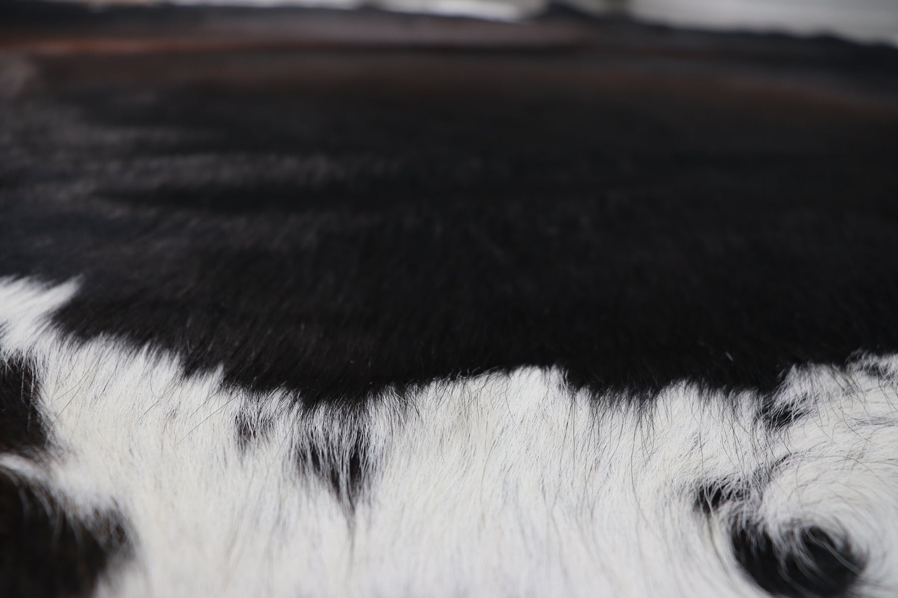 Tricolor (7.11 X 6.11 ft.) Exact As Photo BRAZILIAN Cowhide Rug | 100% Natural Cowhide Area Rug | Real Leather Cow Skin Rug | BZ493