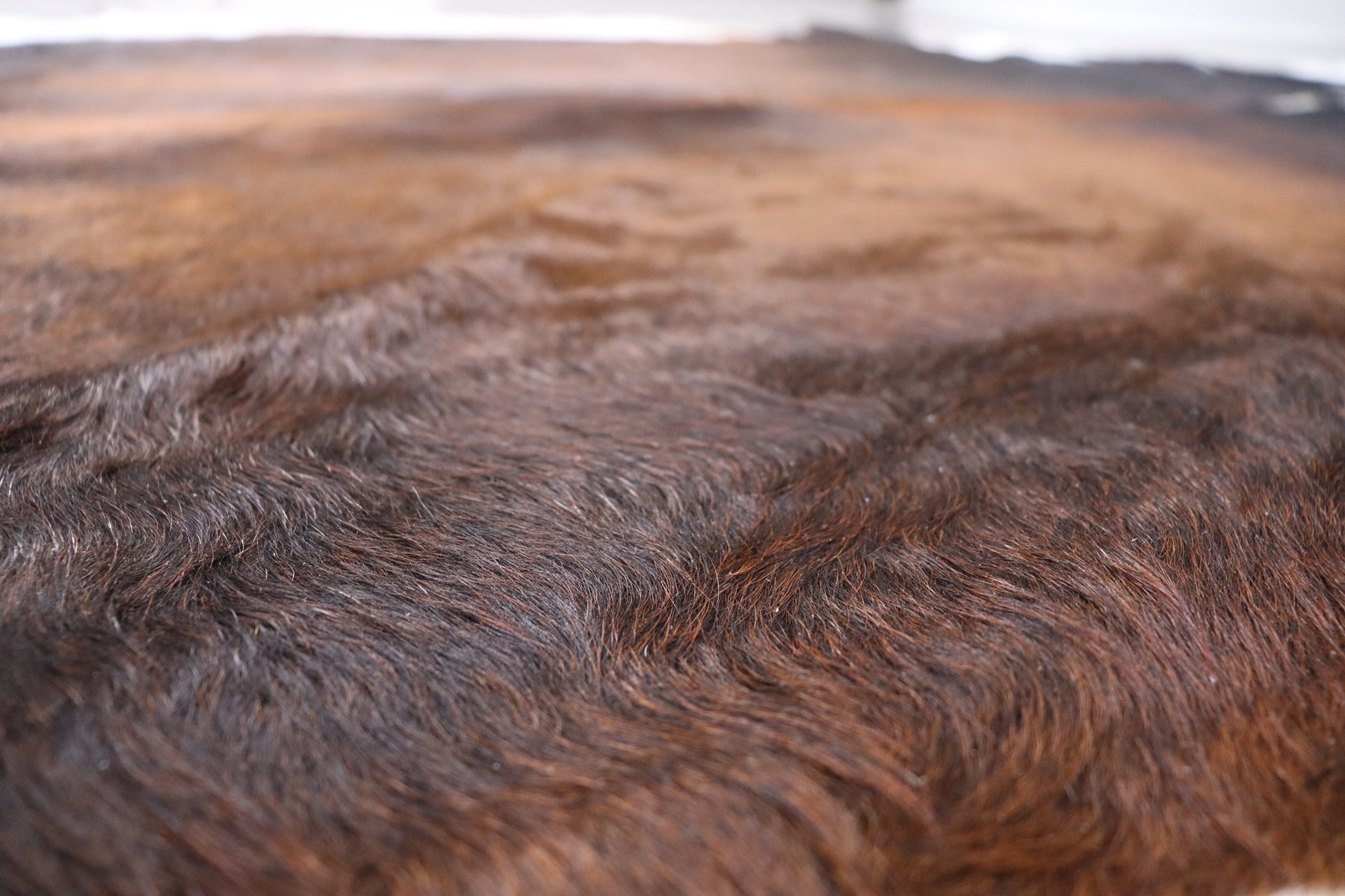 Tricolor (7.9 X 7 ft.) Exact As Photo BRAZILIAN Cowhide Rug | 100% Natural Cowhide Area Rug | Real Leather Cow Skin Rug | BZ494