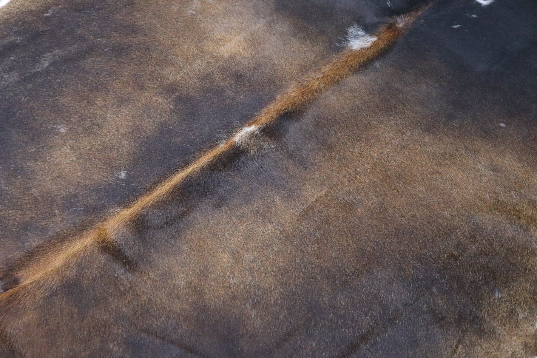 Tricolor (8.5 X 8 ft.) Exact As Photo BRAZILIAN Cowhide Rug | 100% Natural Cowhide Area Rug | Real Leather Cow Skin Rug | BZ502