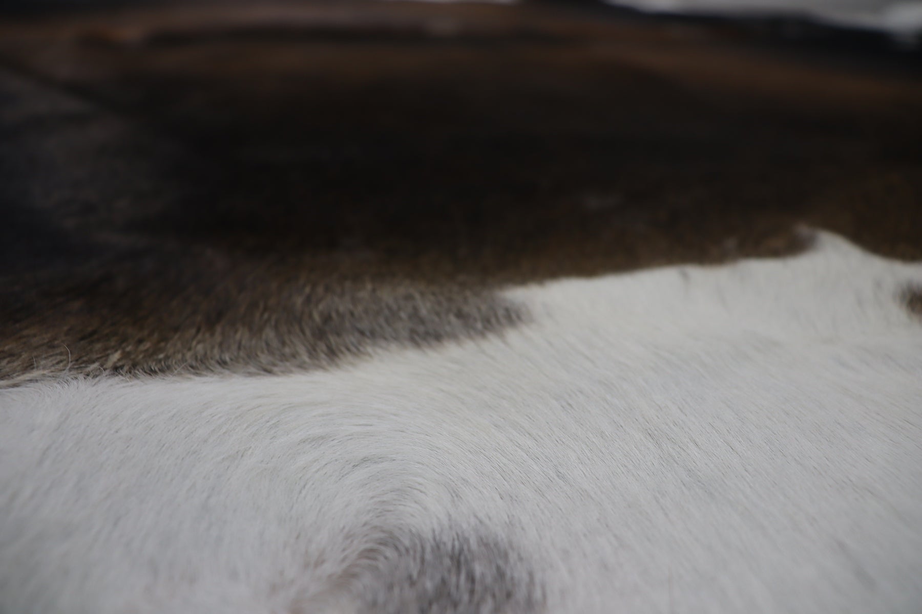 Tricolor (8.5 X 8 ft.) Exact As Photo BRAZILIAN Cowhide Rug | 100% Natural Cowhide Area Rug | Real Leather Cow Skin Rug | BZ502