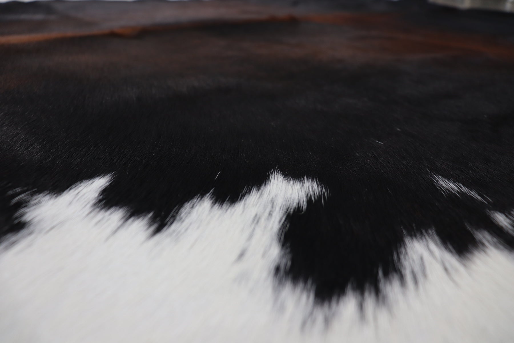 Tricolor (7.8 X 6.8 ft.) Exact As Photo BRAZILIAN Cowhide Rug | 100% Natural Cowhide Area Rug | Real Leather Cow Skin Rug | BZ503