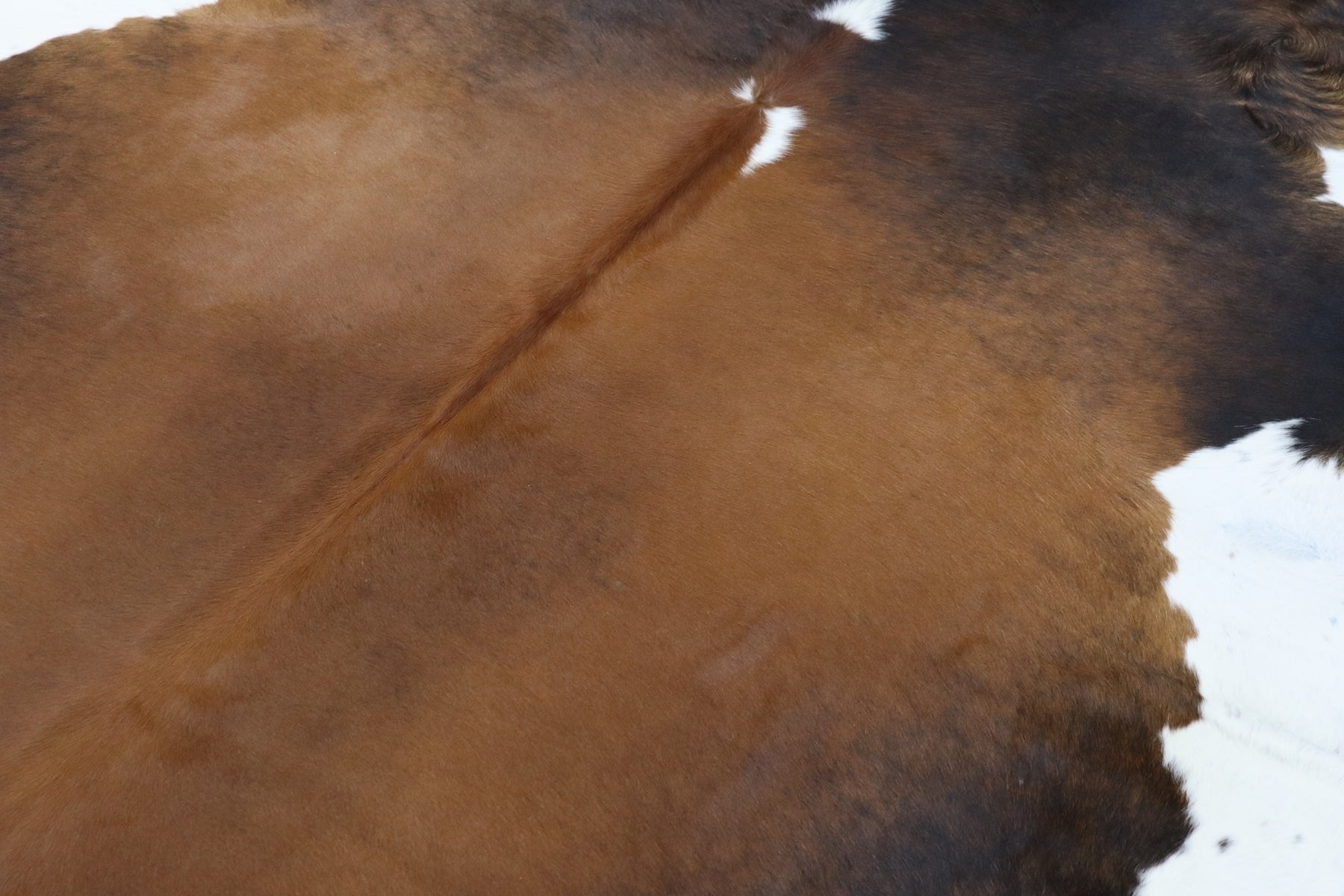 Tricolor (8 X 8 ft.) Exact As Photo BRAZILIAN Cowhide Rug | 100% Natural Cowhide Area Rug | Real Leather Cow Skin Rug | BZ504