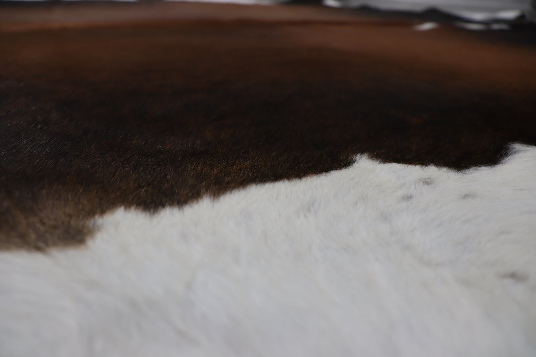 Tricolor (8 X 8 ft.) Exact As Photo BRAZILIAN Cowhide Rug | 100% Natural Cowhide Area Rug | Real Leather Cow Skin Rug | BZ504