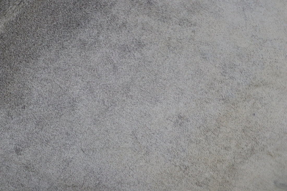 Grey (6.7 X 6 ft.) Exact As Photo BRAZILIAN Cowhide Rug | 100% Natural Cowhide Area Rug | Real Leather Cow Skin Rug | BZ507