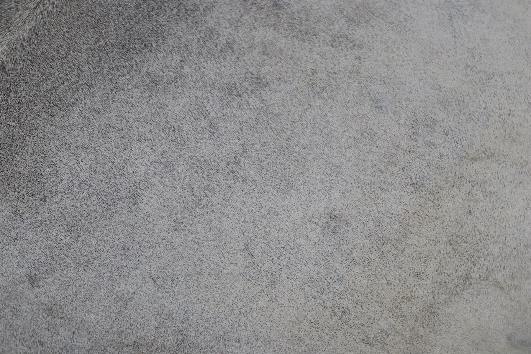 Grey (6.7 X 6 ft.) Exact As Photo BRAZILIAN Cowhide Rug | 100% Natural Cowhide Area Rug | Real Leather Cow Skin Rug | BZ507