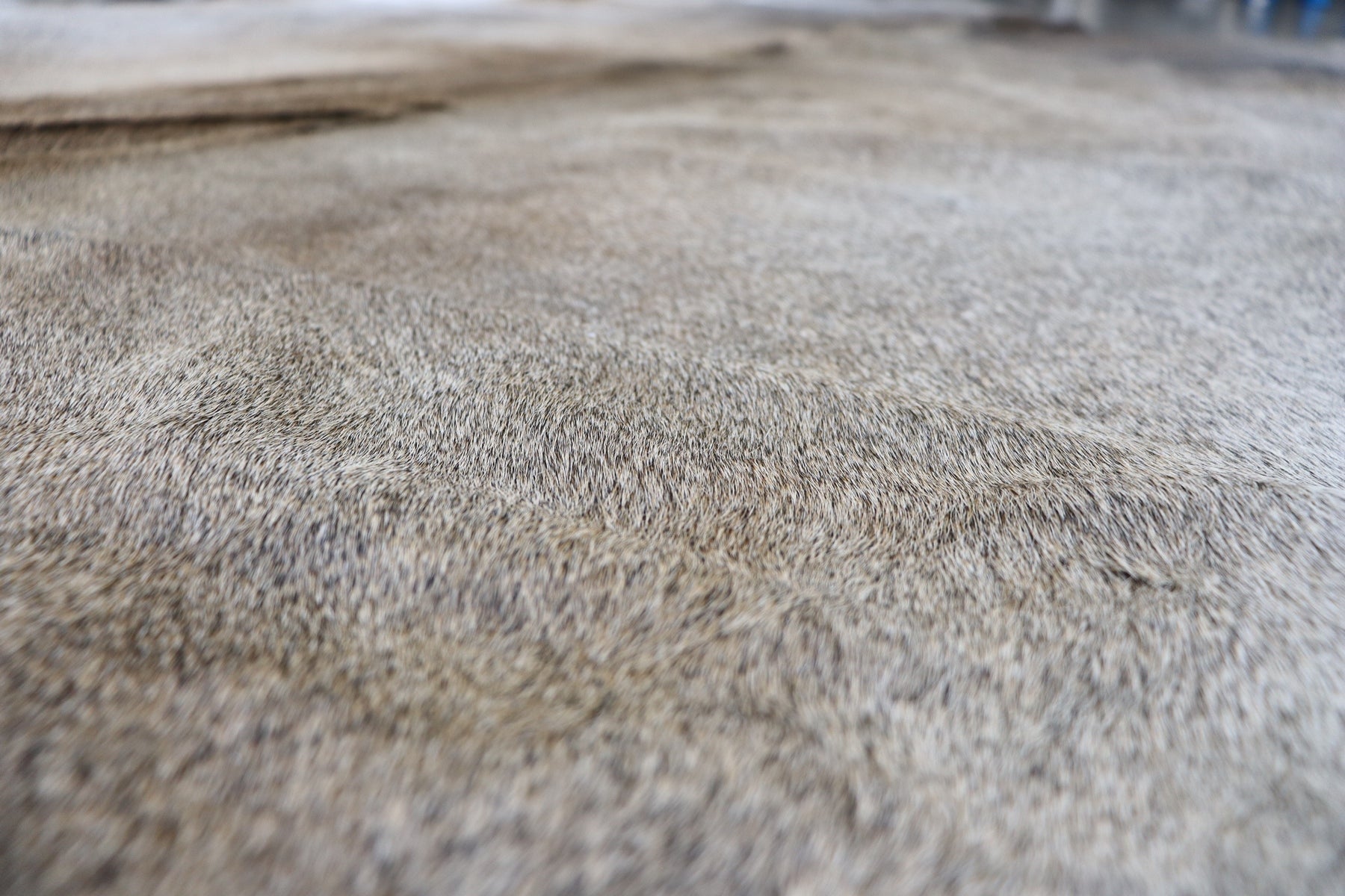 Tricolor (7.1 X 5.9 ft.) Exact As Photo BRAZILIAN Cowhide Rug | 100% Natural Cowhide Area Rug | Real Leather Cow Skin Rug | BZ508