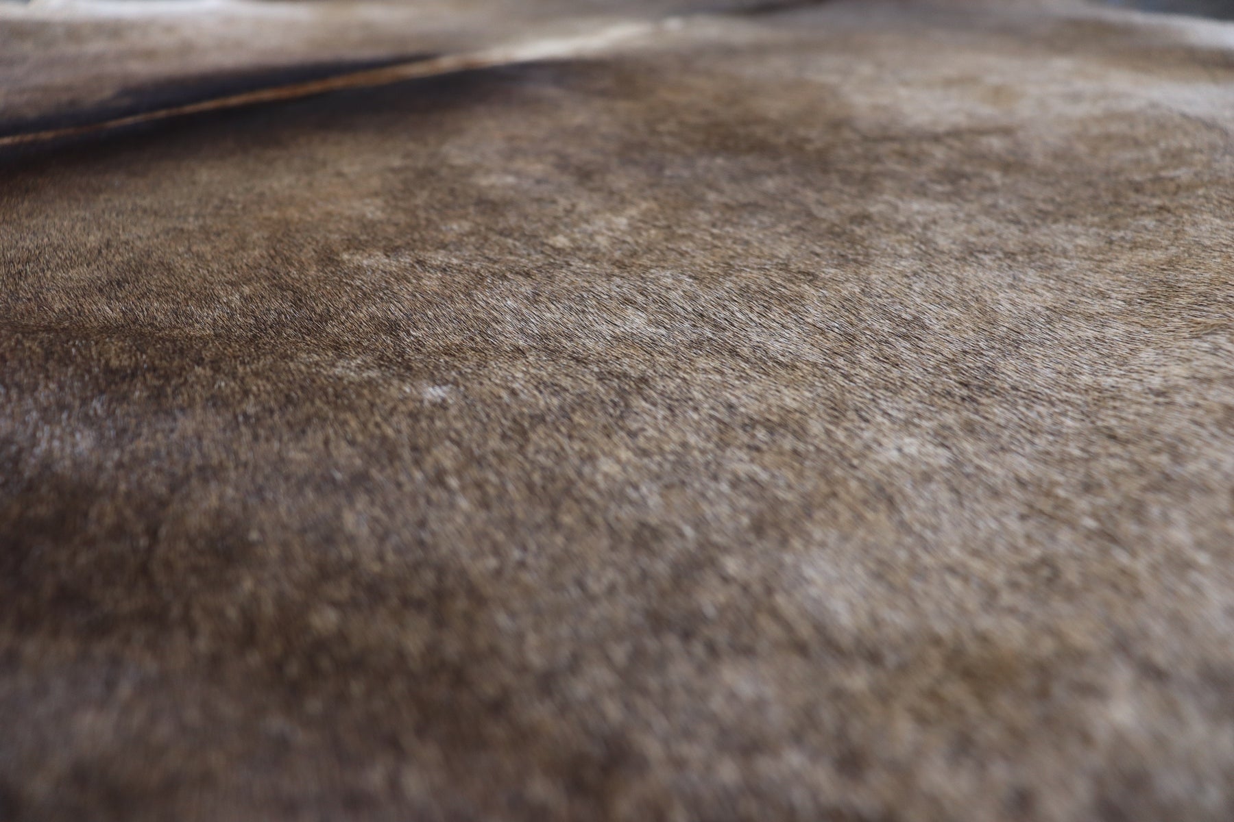 Tricolor (7.5 X 6 ft.) Exact As Photo BRAZILIAN Cowhide Rug | 100% Natural Cowhide Area Rug | Real Leather Cow Skin Rug | BZ510