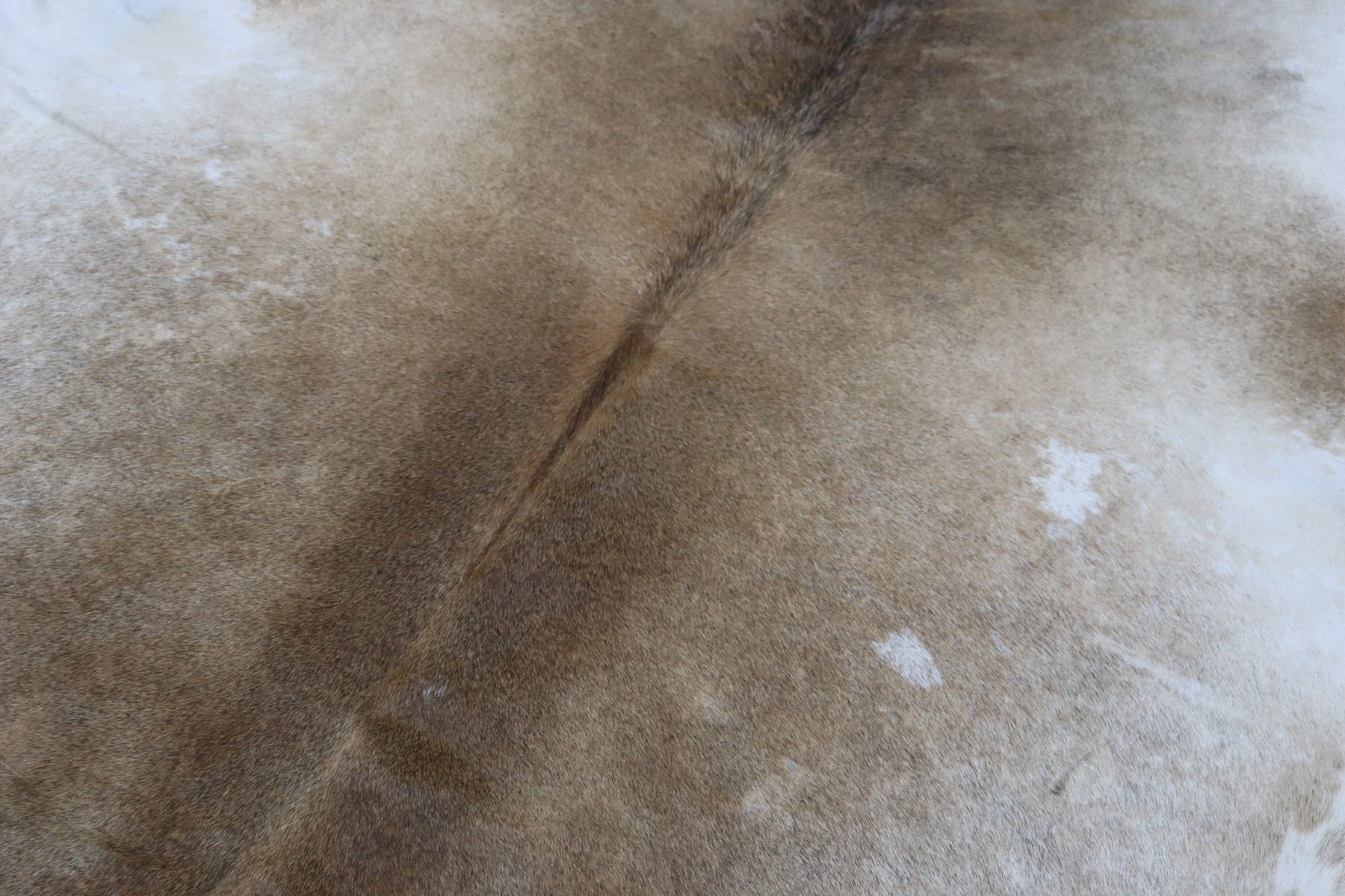 Tricolor (6.9 X 5.9 ft.) Exact As Photo BRAZILIAN Cowhide Rug | 100% Natural Cowhide Area Rug | Real Leather Cow Skin Rug | BZ511