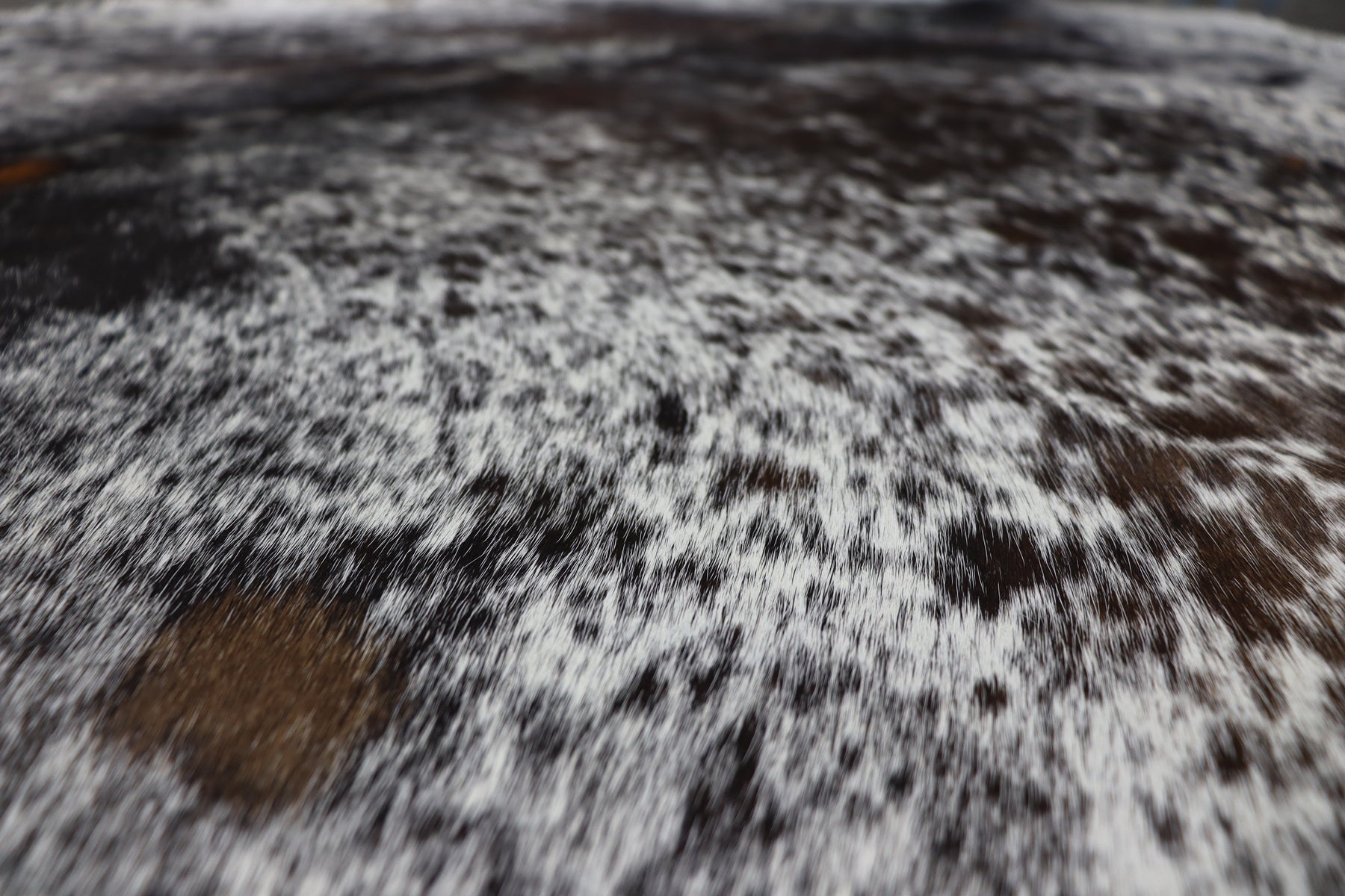 Tricolor (8 X 6.5 ft.) Exact As Photo BRAZILIAN Cowhide Rug | 100% Natural Cowhide Area Rug | Real Leather Cow Skin Rug | BZ512