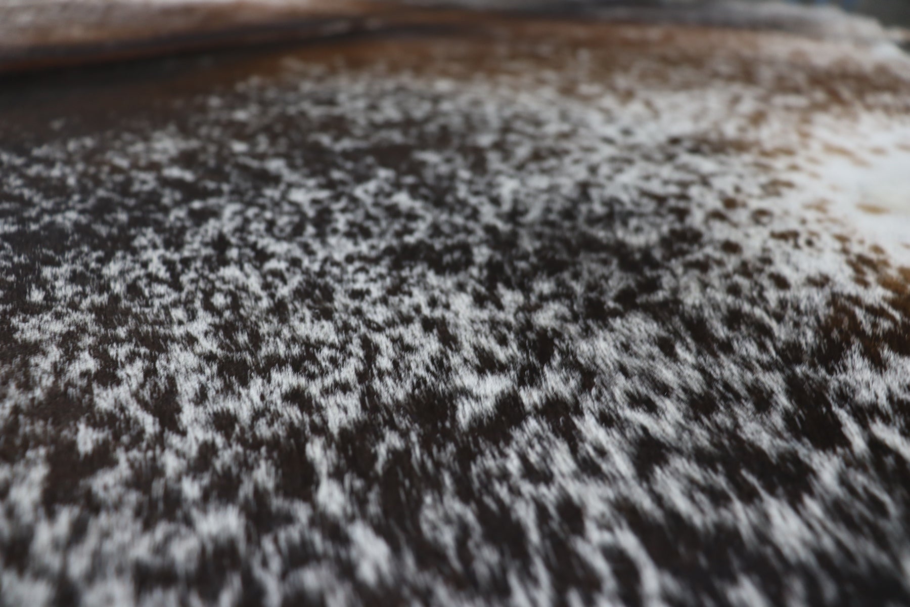 Tricolor (7.4 X 6.5 ft.) Exact As Photo BRAZILIAN Cowhide Rug | 100% Natural Cowhide Area Rug | Real Leather Cow Skin Rug | BZ514