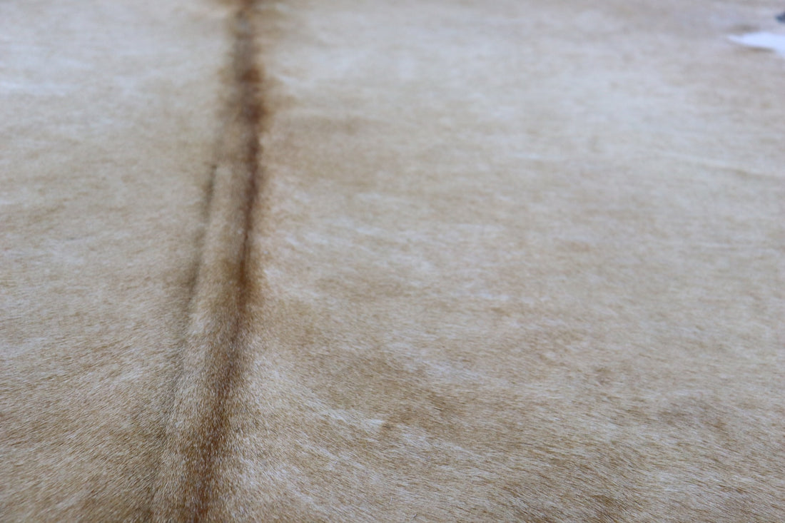 Light Brown White (8.5 X 7.4 ft.) Exact As Photo BRAZILIAN Cowhide Rug | 100% Natural Cowhide Area Rug | Real Leather Cow Skin Rug | BZ49