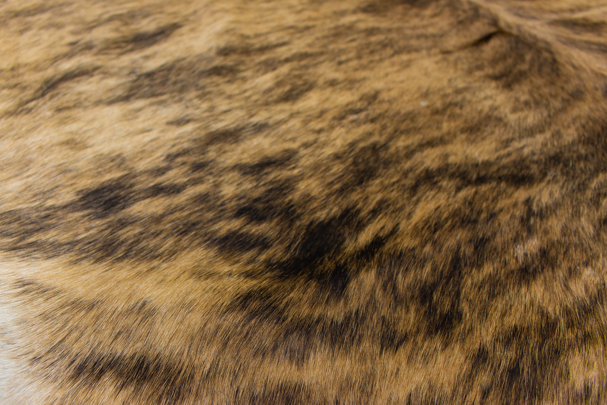 XLarge ( 8.1 x 6.5 ft ) Brazilian Brindle COWHIDE Rug Hair-on Leather Area Rug - Exact as Photo