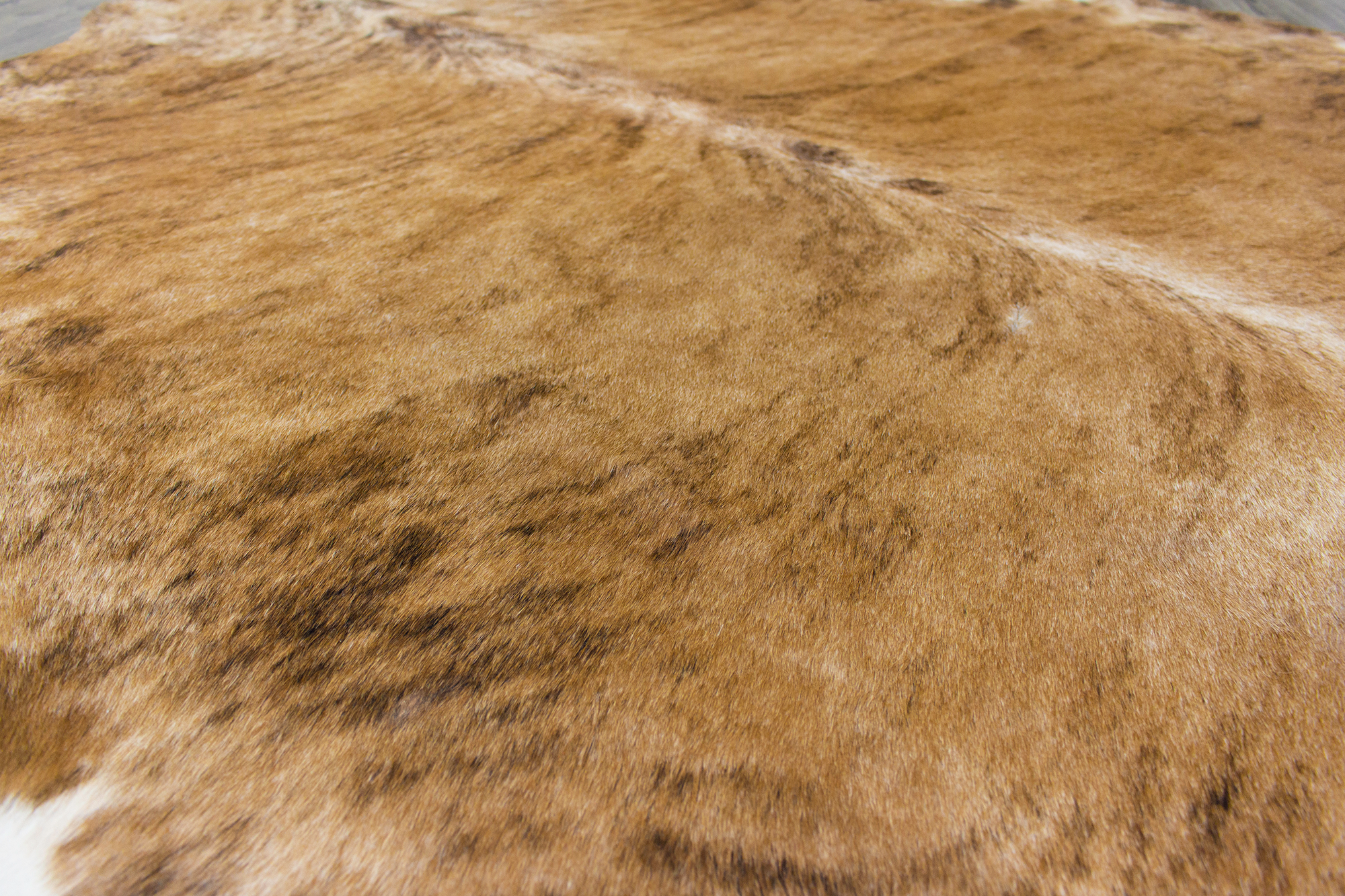 XLarge ( 6.7 ft x 5.8 ft ), Brazilian Brindle COWHIDE Rug Hair-on Leather Area Rug - Exact as Photo