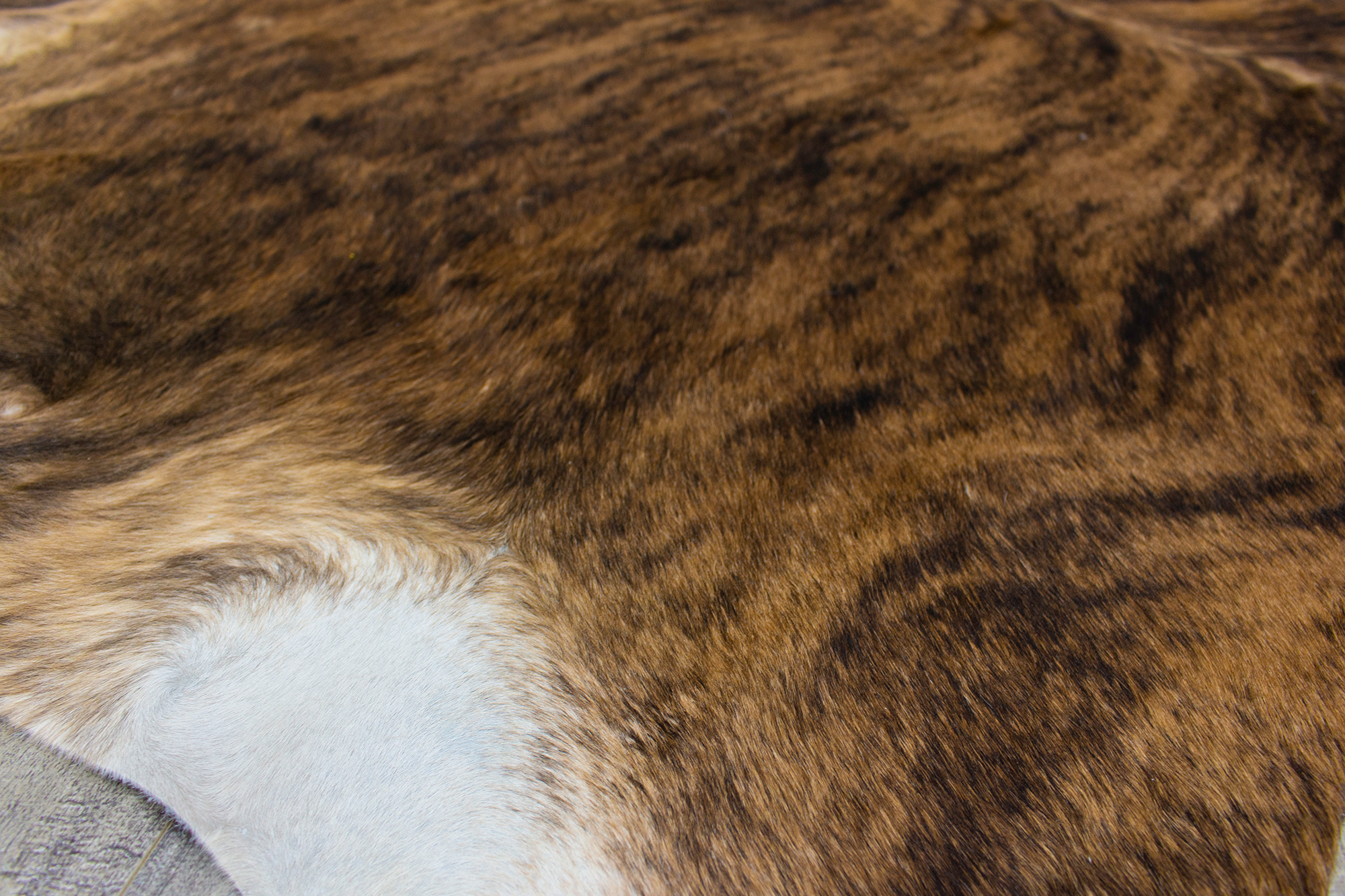 XLarge ( 7.2 x 6.1 ft ) Brazilian Brindle COWHIDE Rug Hair-on Leather Area Rug - Exact as Photo