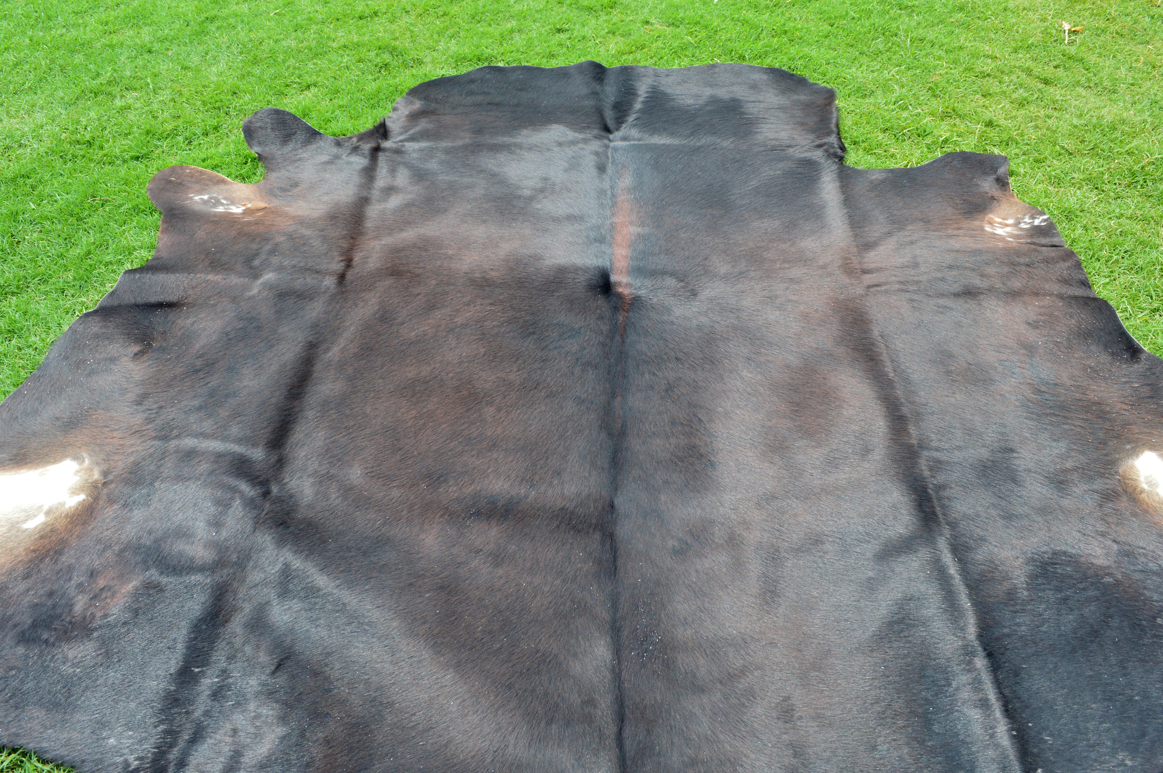 Medium ( 5 X 5 ft ) Exact As Photo, Natural Cowhide Hair-on Leather Rug (C232)