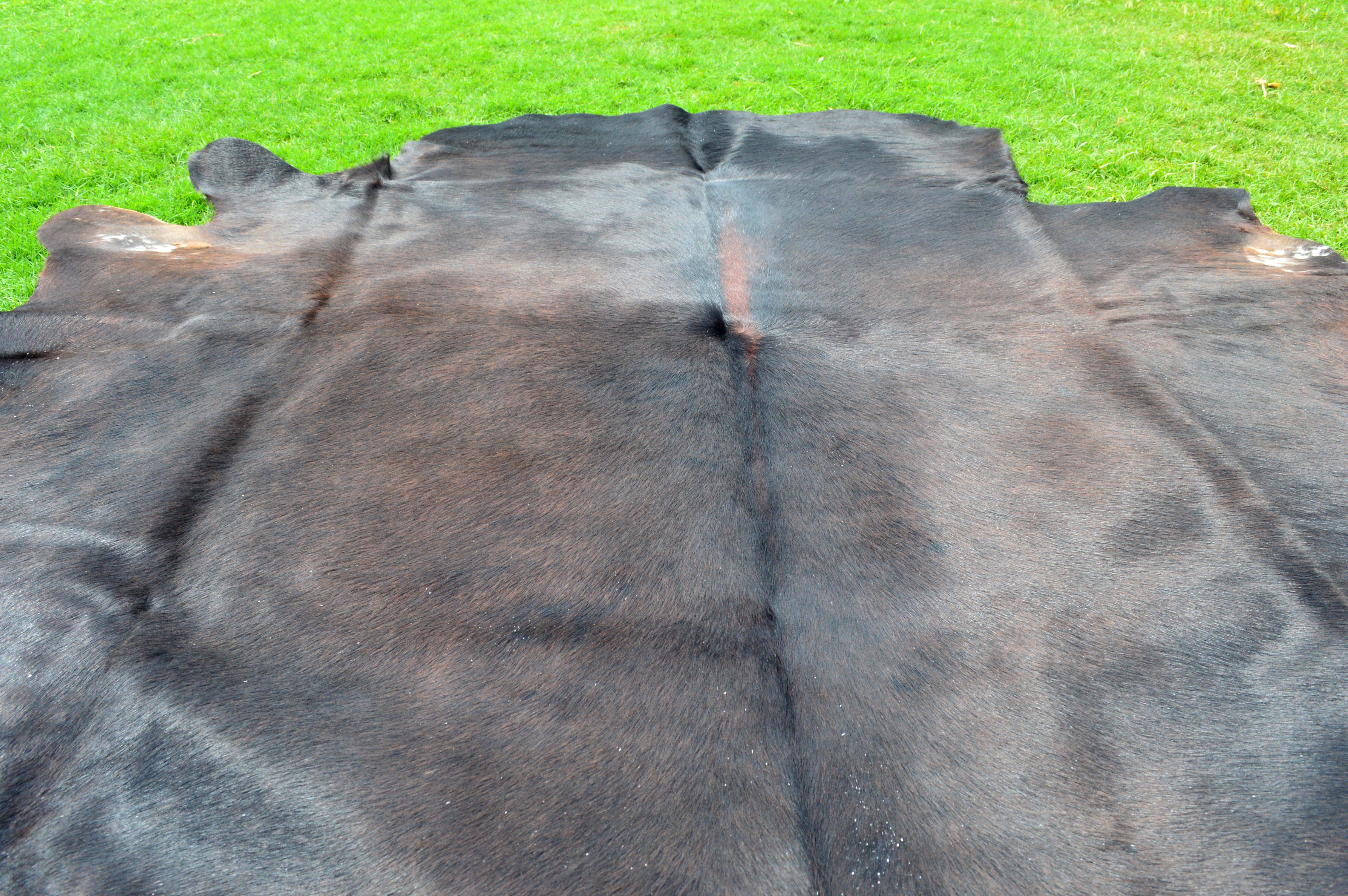 Medium ( 5 X 5 ft ) Exact As Photo, Natural Cowhide Hair-on Leather Rug (C232)