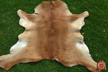 Load image into Gallery viewer, REAL Calfskins ( 3 x 3 ft ), UNIQUE Light Brown Calfskins 100% Natural Hair-on Leather Rug
