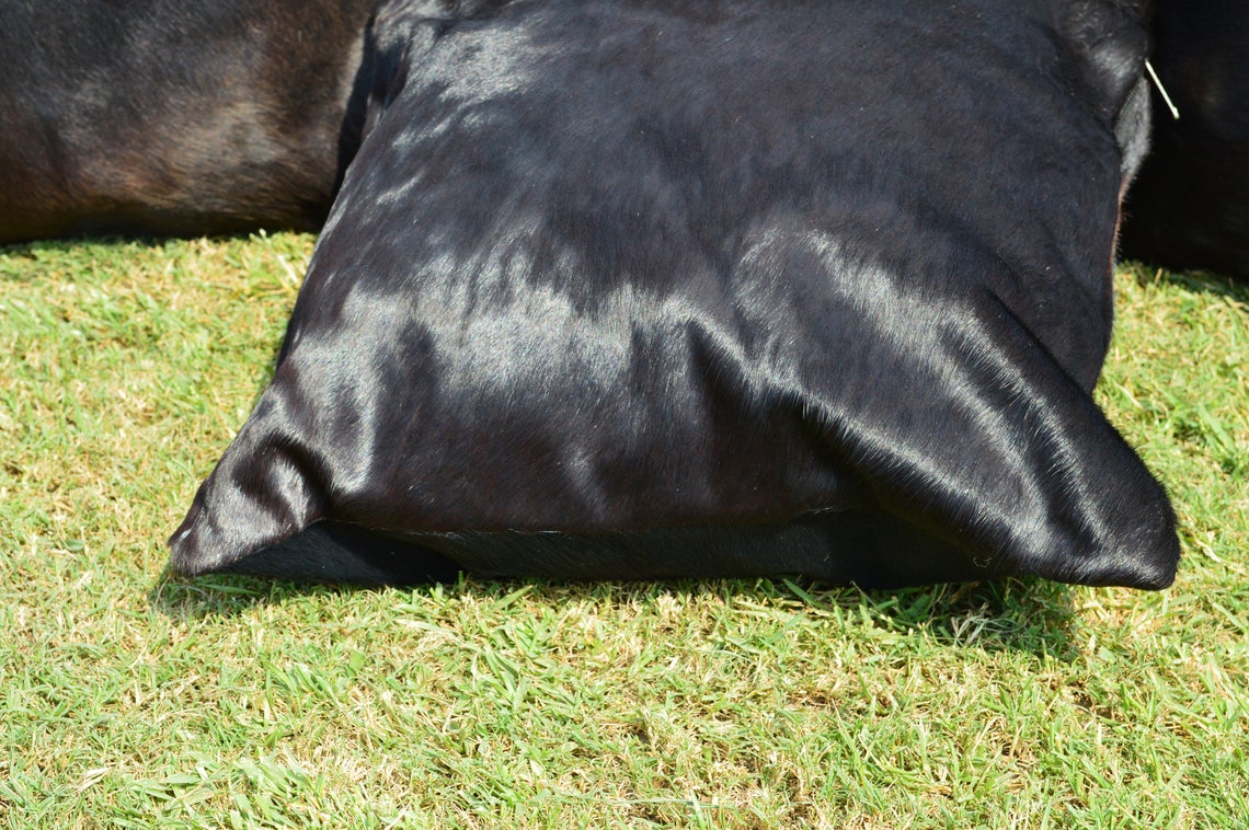 Pure Black Natural Cowhide Cushion Covers Real Hair on Leather Pillow Cases Natural Cow Skin Pillow Covers | PLW117