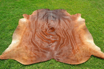 X Large ( 6 x 6 ft ), UNIQUE Brown Cowhide Hair-on Leather Area Rug C321 - EXACT As PICTURE