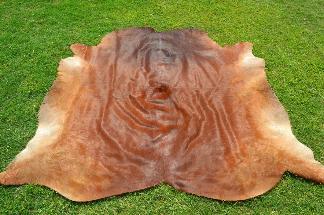 X Large ( 6 x 6 ft ), UNIQUE Brown Cowhide Hair-on Leather Area Rug C321 - EXACT As PICTURE