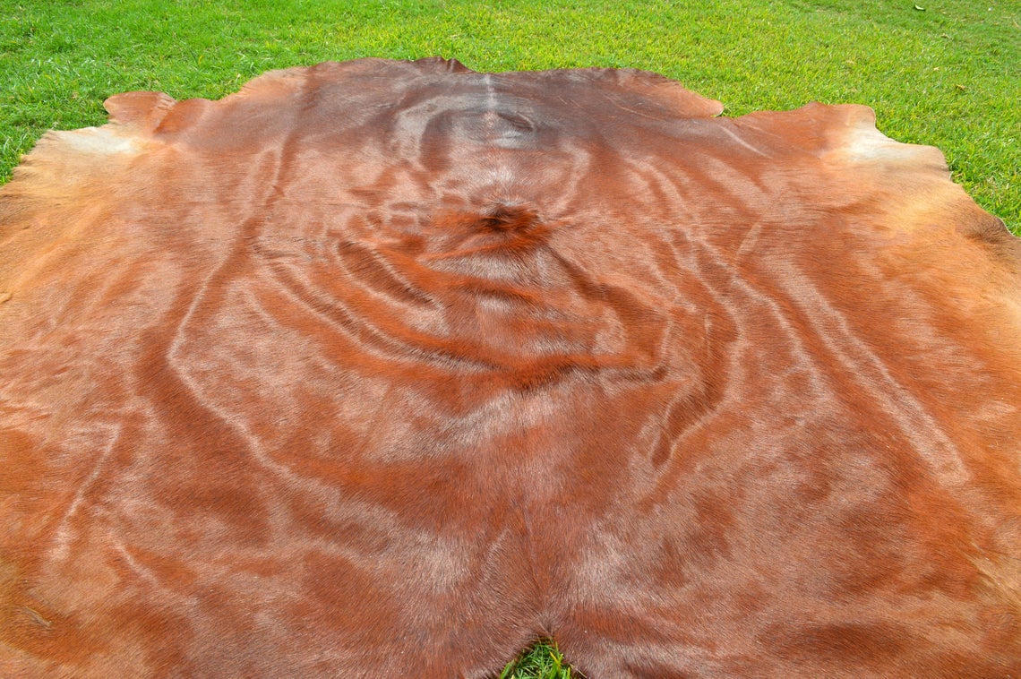 X Large ( 6 x 6 ft ), UNIQUE Brown Cowhide Hair-on Leather Area Rug C321 - EXACT As PICTURE