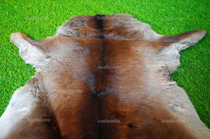 Calf Skin ( 3 X 2.5 ft. approx. ) !! 100% Natural Calf Skin Hair on Leather Area Rug | Hair on Calf Skin Leather Area Rug | CS22