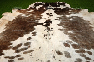 Large (5.4 x 6 ft.) EXACT As Photo, Tricolor COWHIDE Area RUG | 100% Natural Cowhide Rug | Hair-on Cowhide Leather Rug | C536