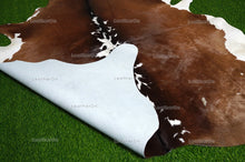 Load image into Gallery viewer, XLARGE (5.9 X 6 ft.) Exact As Photo, Tricolor COWHIDE RUG | 100% Natural Cowhide Rug | Hair-on Leather Cow Hide Rug | C631
