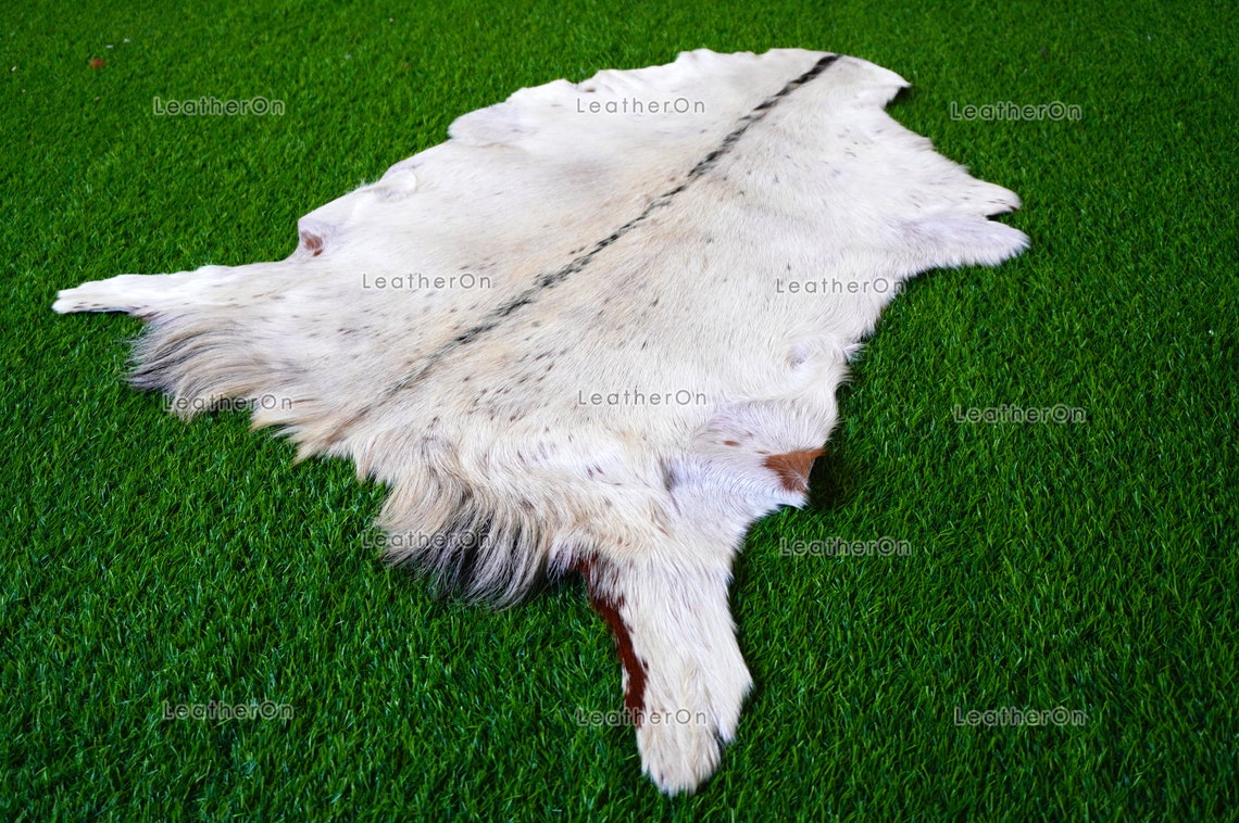 Goat Skin ( 3 ft. x 2.5 ft. approx.) Exact As Photo, 100% Natural Goat Skin | Real Hair on Goat Skin Leather Area Rug | GS51