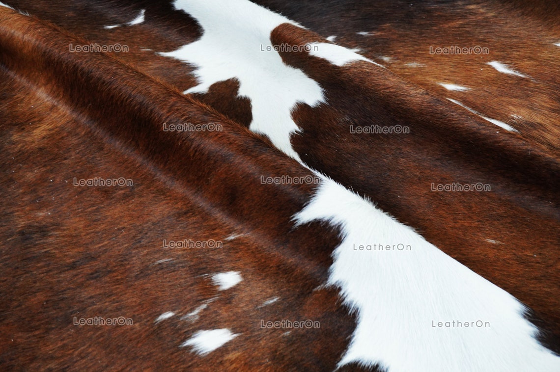 Tricolor Small (4.9 X 4.7 ft.) Exact As Photo Cowhide Rug | 100% Natural Cowhide Area Rug | Real Hair-on Leather Cowhide Rug | C860
