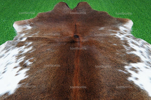 Tricolor Cowhide (5 X 5 ft.) Medium Size Exact As Photo Cowhide RUG | 100% Natural Cowhide Rug | Real Hair-on Cowhide Leather Rug | C862