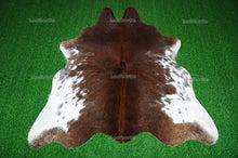 Load image into Gallery viewer, Tricolor Cowhide (5 X 5 ft.) Medium Size Exact As Photo Cowhide RUG | 100% Natural Cowhide Rug | Real Hair-on Cowhide Leather Rug | C862
