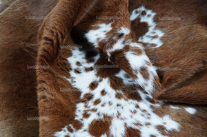 Brown White Cowhide (5 X 5 ft.) Medium Size Exact As Photo Cowhide RUG | 100% Natural Cowhide Rug | Real Hair-on Cowhide Leather Rug | C869