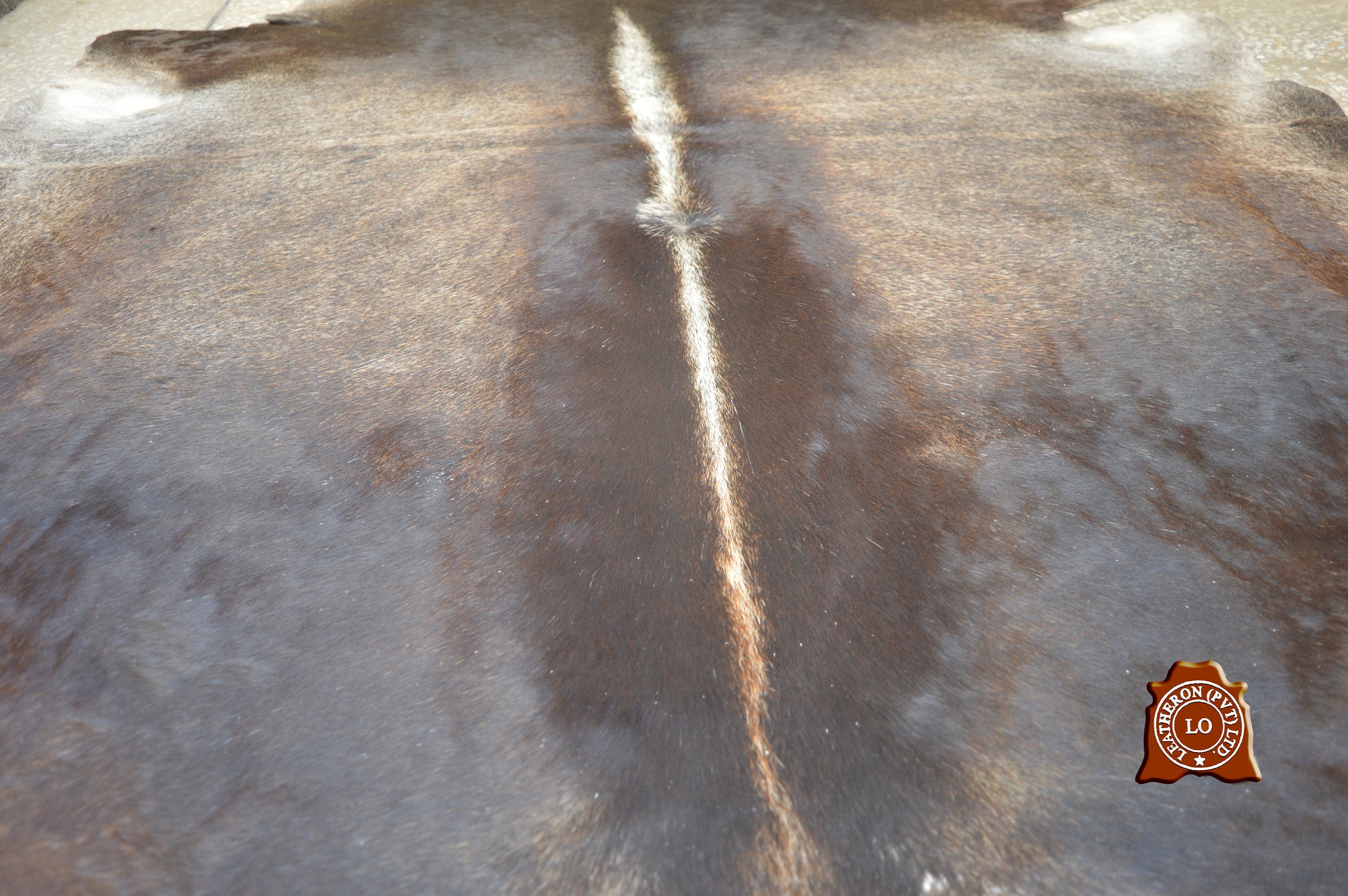 UNIQUE Grey COWHIDE Area Rug 100% Natural Cow Skin Hair-on Leather Rug (5.6 X 5 ft) - Same As Picture