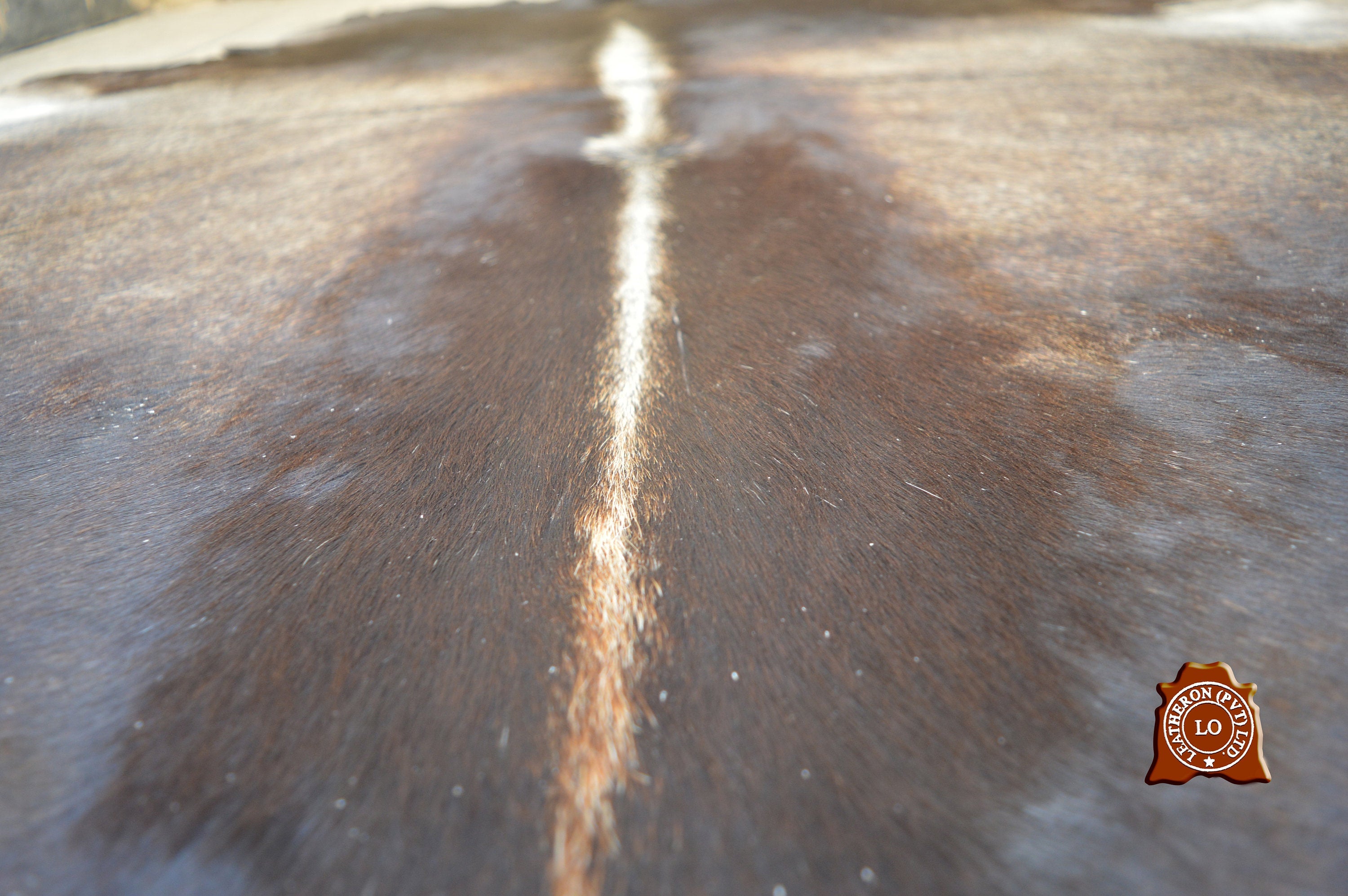 UNIQUE Grey COWHIDE Area Rug 100% Natural Cow Skin Hair-on Leather Rug (5.6 X 5 ft) - Same As Picture