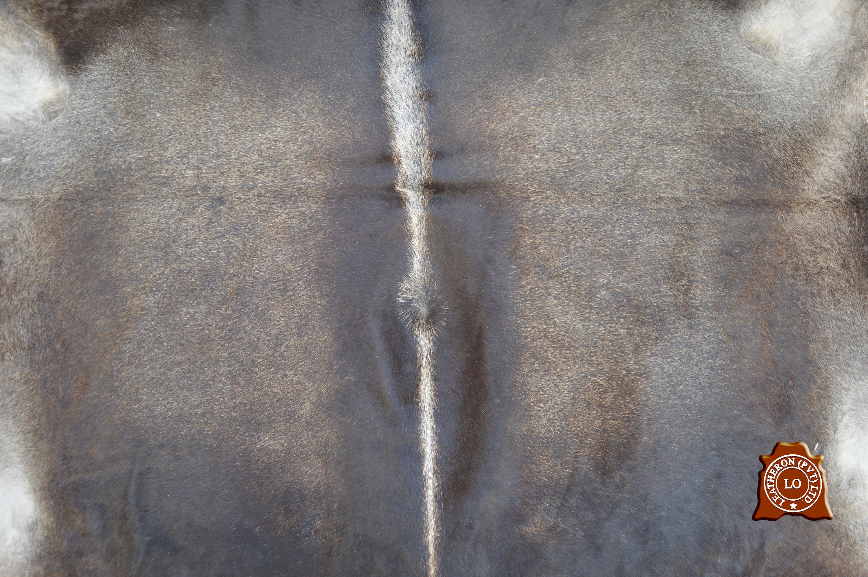 UNIQUE Grey COWHIDE Area Rug 100% Natural Cow Skin Hair-on Leather Rug (5.6 X 5 ft) - Same As Picture