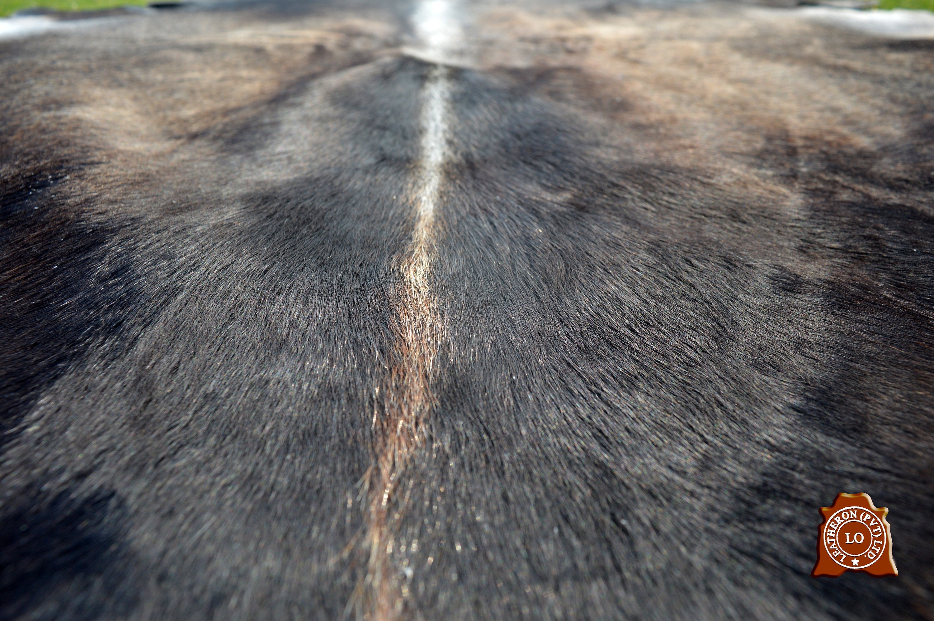 UNIQUE Grey COWHIDE Area Rug 100% Natural Cow Skin Hair-on Leather Rug (5.6 X 5 ft) - Same As Picture