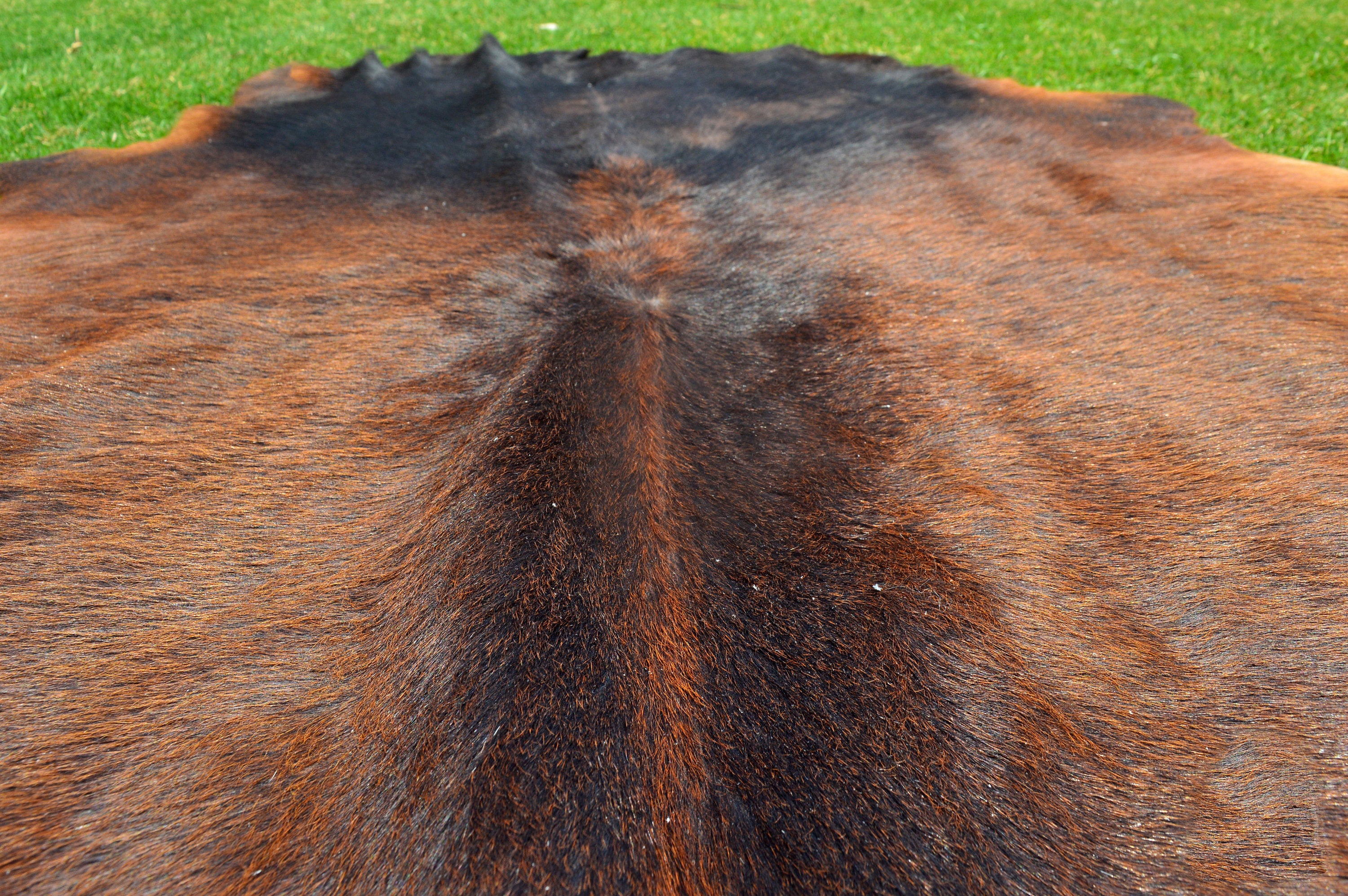 EXACT As PHOTO ( 5 x 4.5 ft ), Tricolor Brown Black Cowhide Rug 100% Natural Hair-on Leather Area Rug