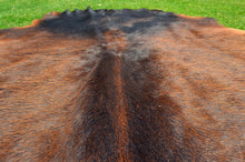 Load image into Gallery viewer, EXACT As PHOTO ( 5 x 4.5 ft ), Tricolor Brown Black Cowhide Rug 100% Natural Hair-on Leather Area Rug
