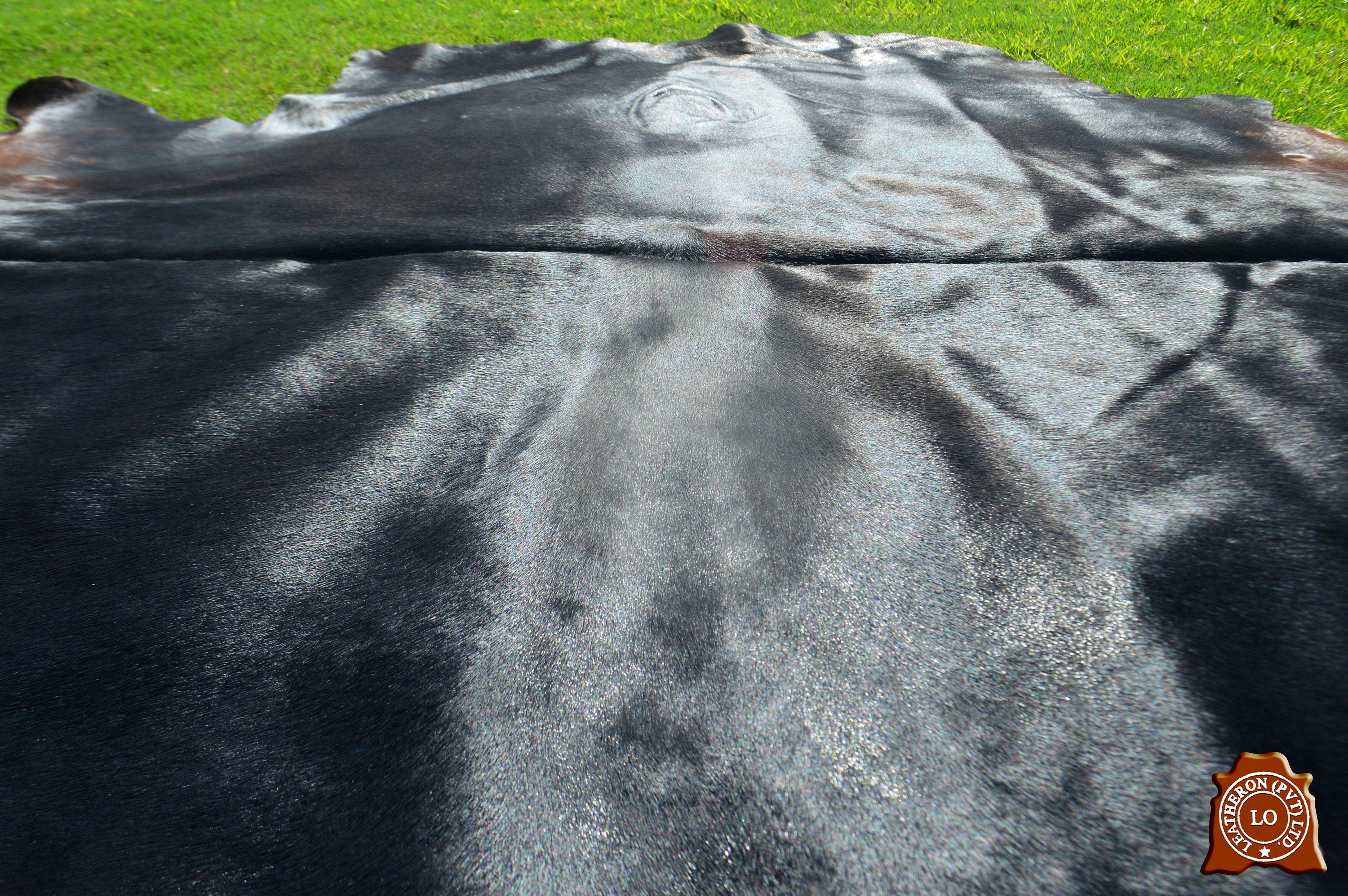 UNIQUE Pure Back Real Cowhide  ( 5 X 6 ft. ) Natural Hair-on Leather Area Rug