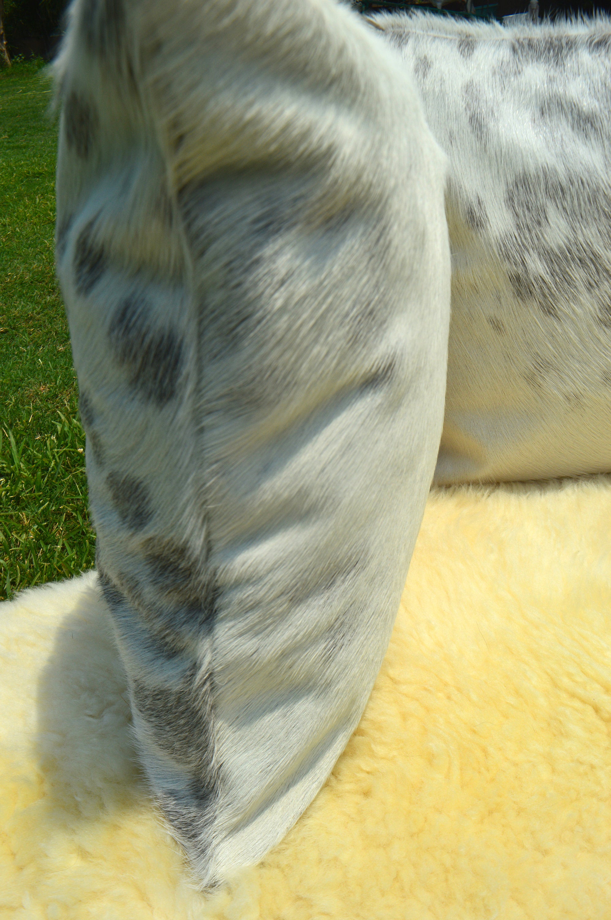 Double Sided Natural Cowhide Pillow Covers Real Hair on Cowhide Leather Cushion Covers | PLW140
